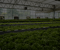 智慧农场租地种植解决方案